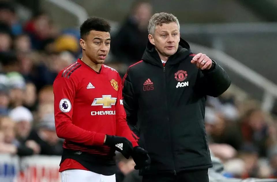 胆交易引入 胆交易引入